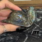 Labradorite Snails