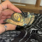 Labradorite Snails