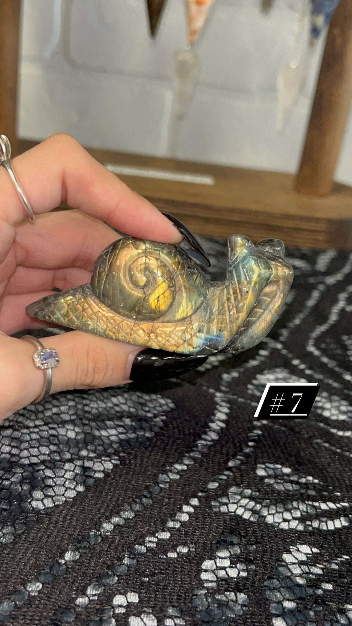 Labradorite Snails