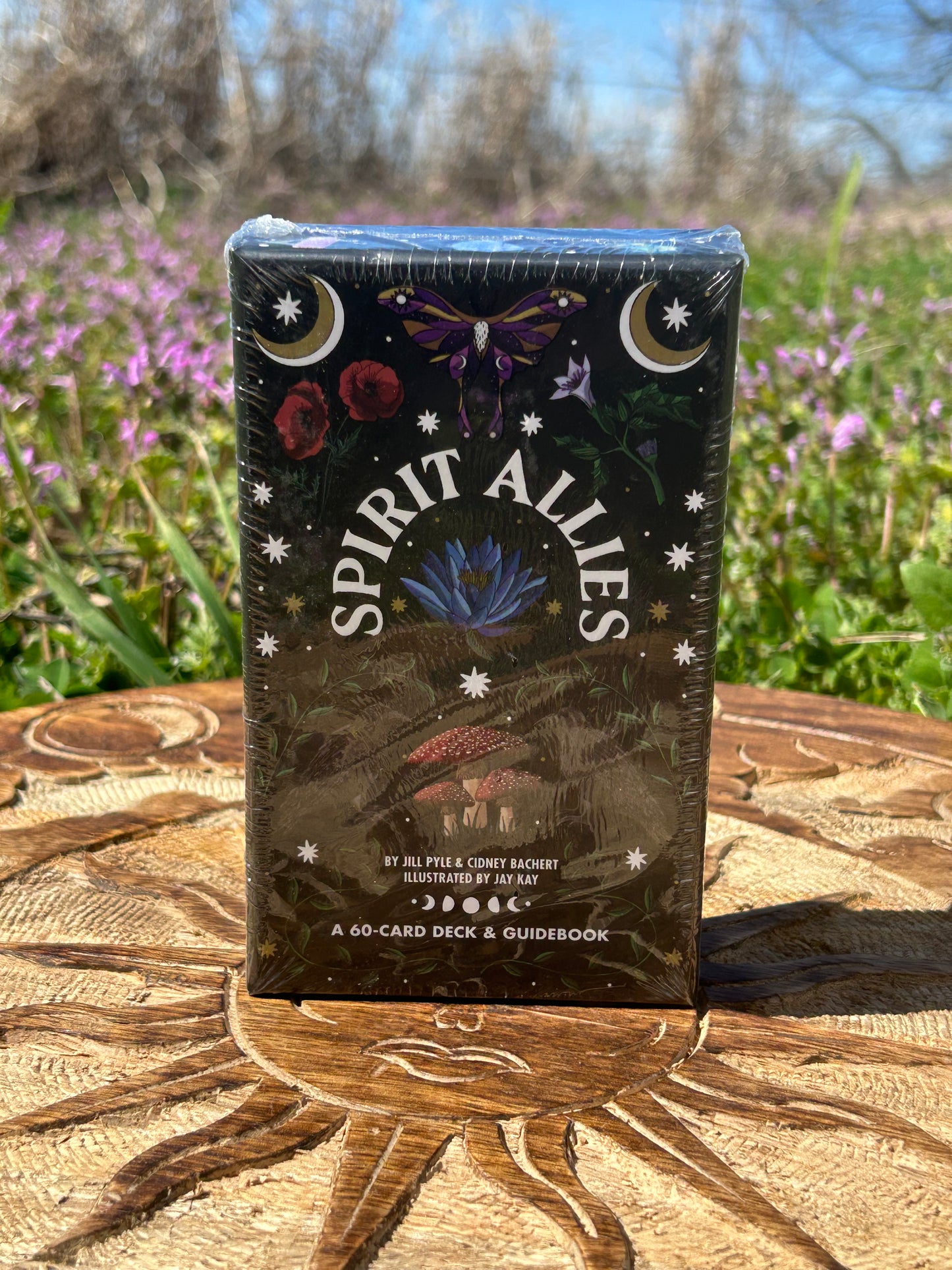 Spirit Allies Oracle Deck