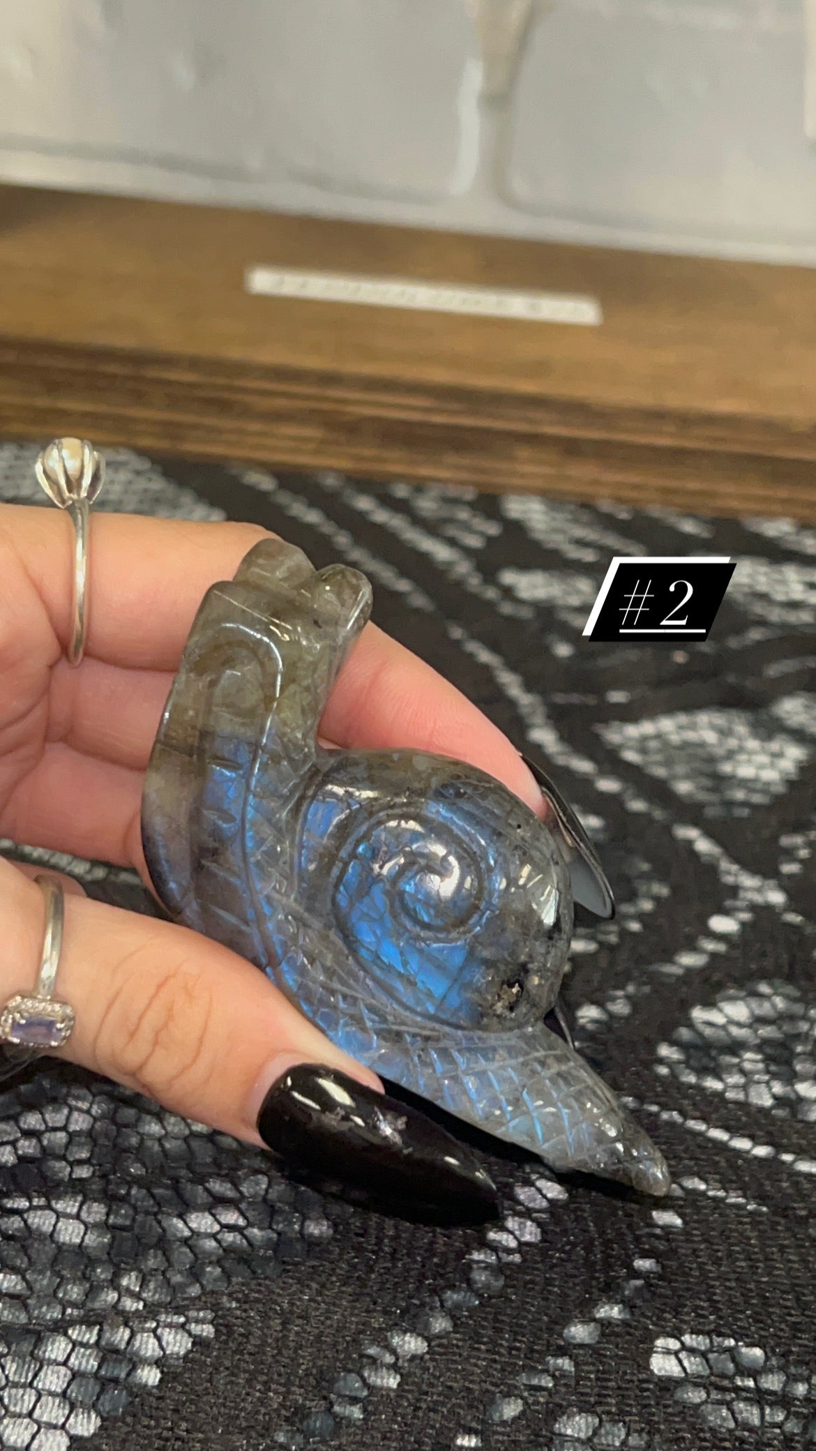 Labradorite Snails